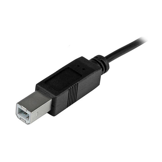 Kabllo USB StarTech.com USB2CB2M / USB-C Mashkull → USB-B Mashkull / USB 2.0 / 480 Mbit/s / 2m - Zezë thumbnail 3