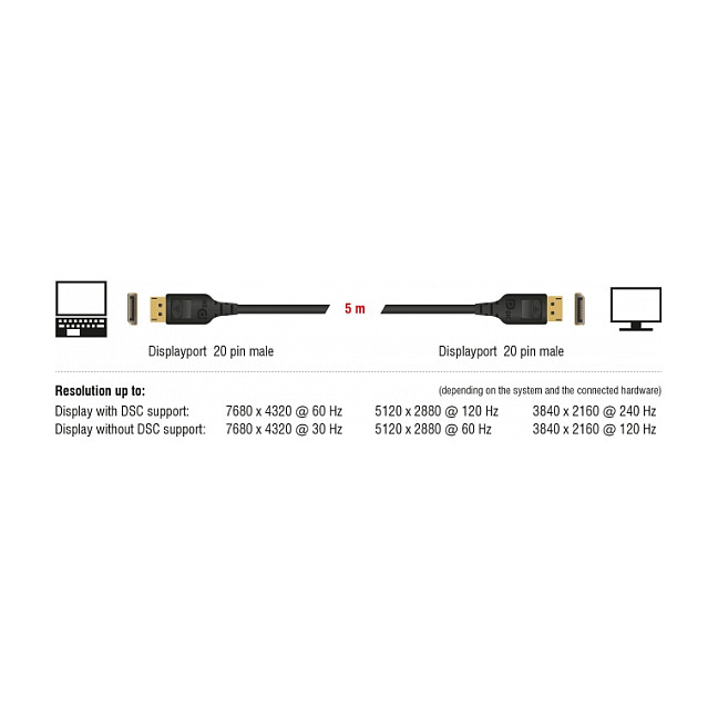 DELOCK DisplayPort Cable 1 m thumbnail 2
