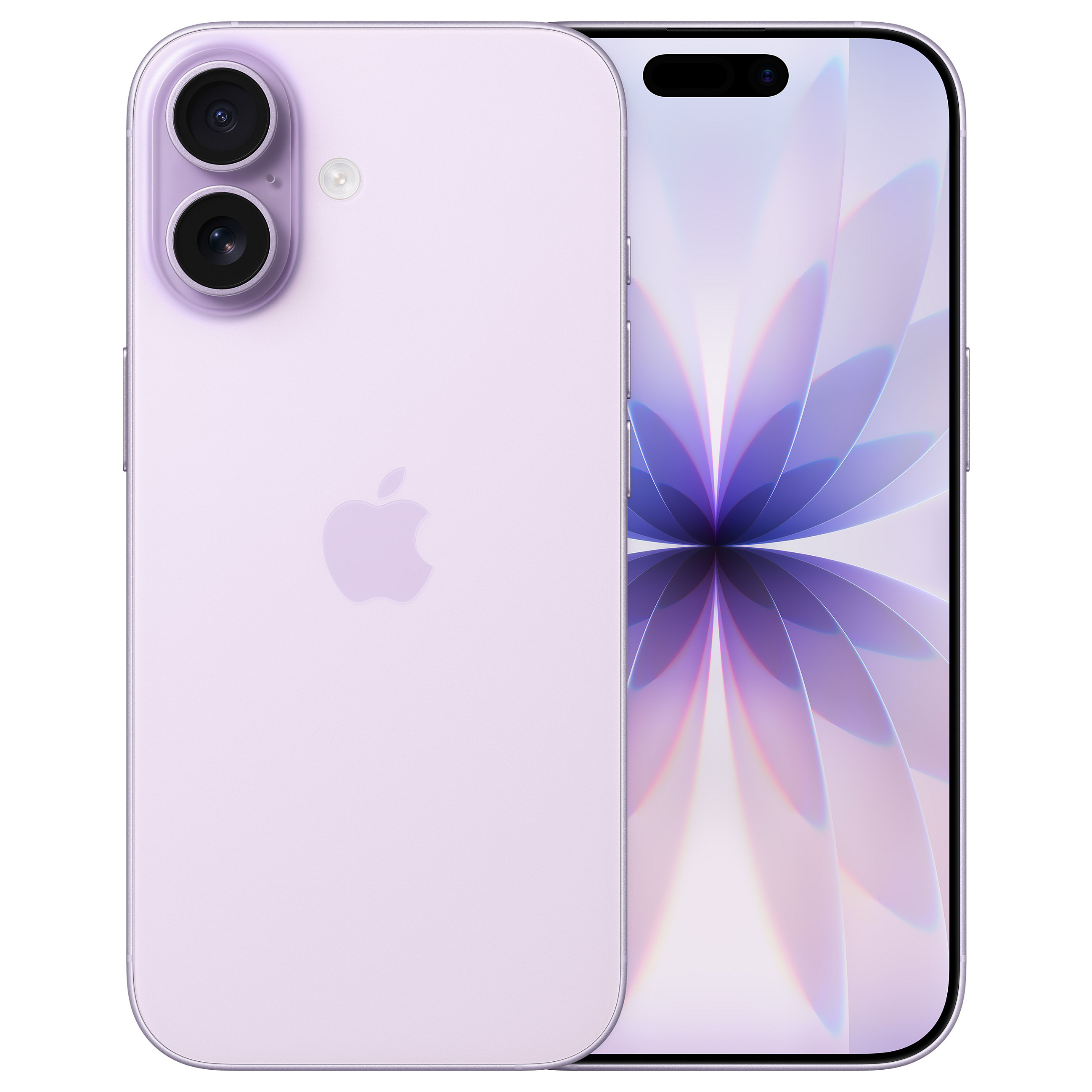 DISPLEX Smart Glass Apple iPhone XR/11 3
