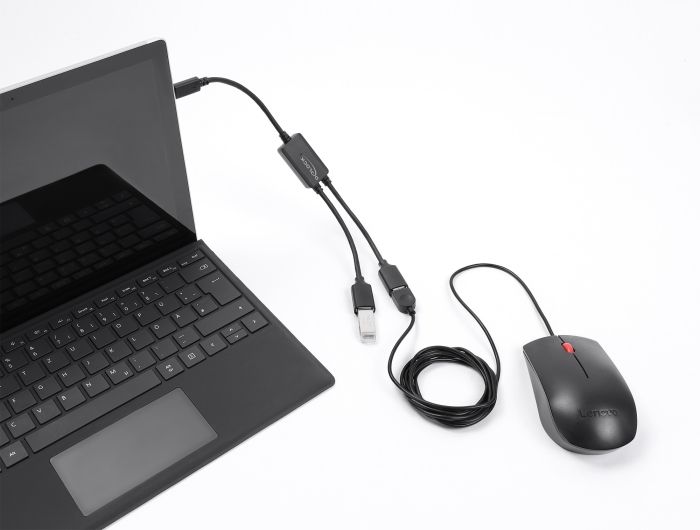 Hub USB-C DeLOCK, 2x USB-A, 5Gbps, kabllo 25 cm - Zezë 2