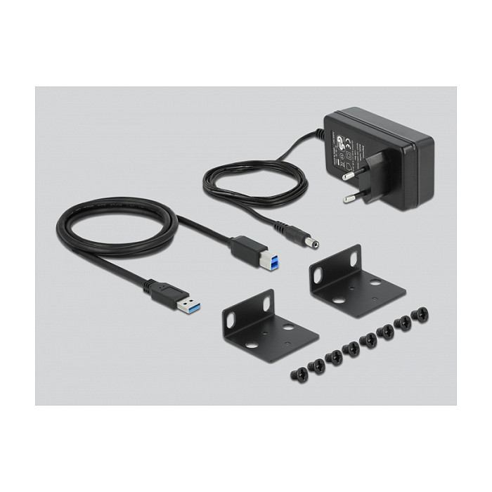Hub USB DeLOCK 64112 / USB 3.2 Gen 1 / 10x USB-A / 5 Gbit/s / Montim në Rack 10" / Furnizues Energjie - Zezë 2