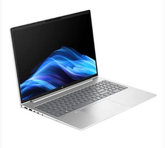 Laptop HP ProBook 4 G1ah / Ryzen 5 220 / 16GB DDR5 / 1TB / 16" WUXGA IPS 300nits 60Hz / AMD Radeon 740M - Argjend 2