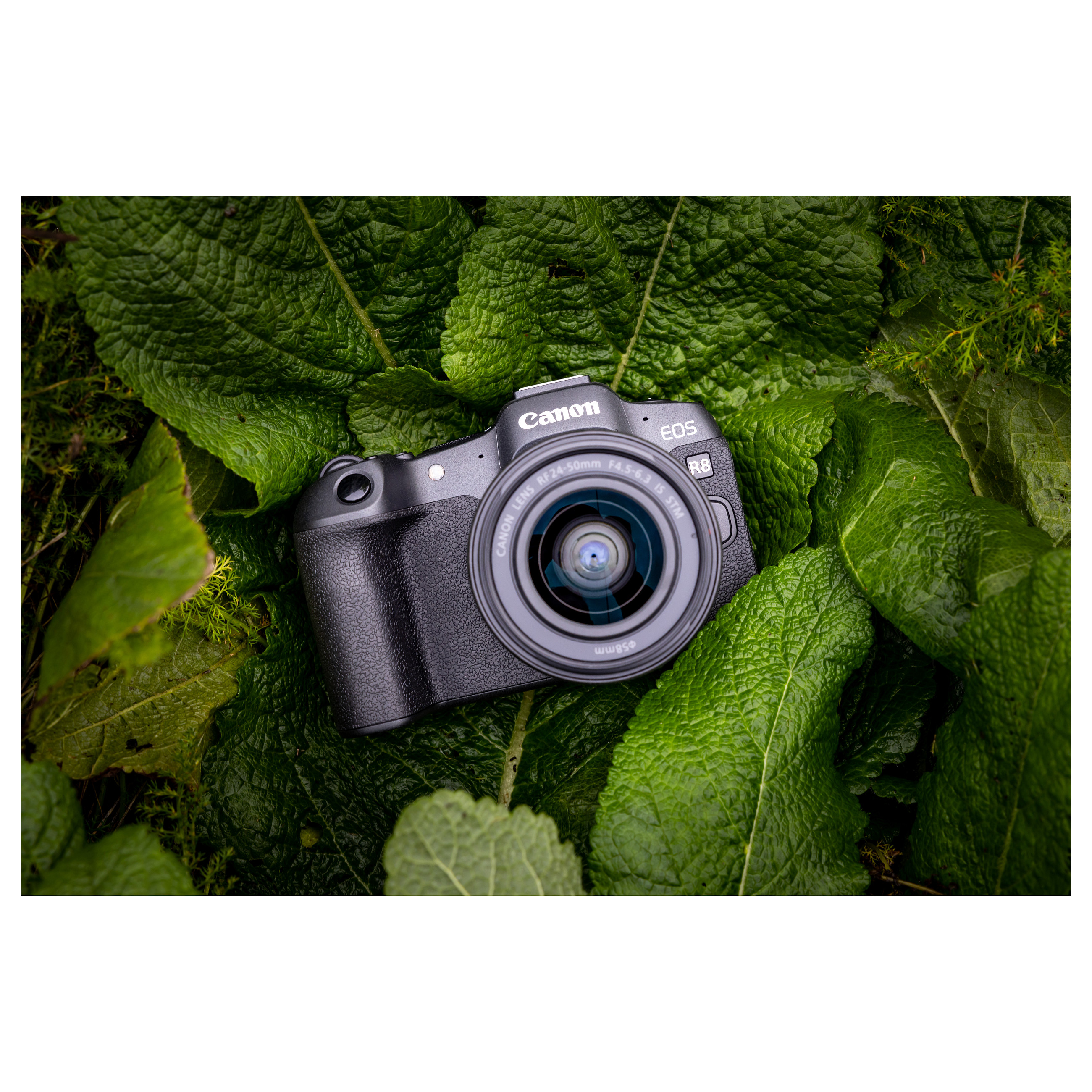 Kamerë Digjitale Canon EOS R8 Body, Full Frame, 24.2MP, 40fps, 4K 60fps, RF Mount - Zezë 10