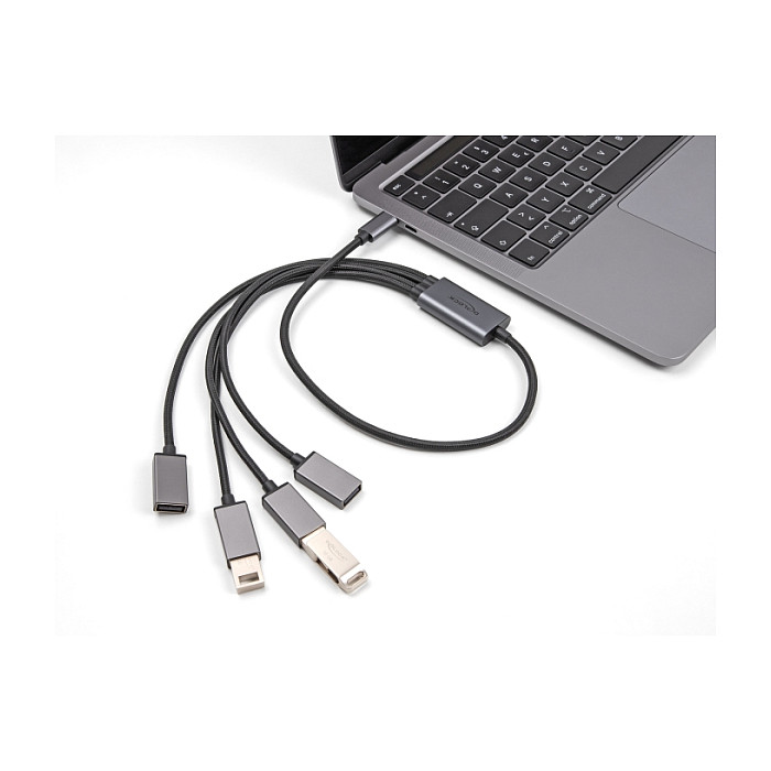 Hub USB DeLOCK 64210, USB 2.0 Type-C mashkull në 4 × USB Type-A femër, 480 Mb/s, 60 cm - Zezë/Hiri 2