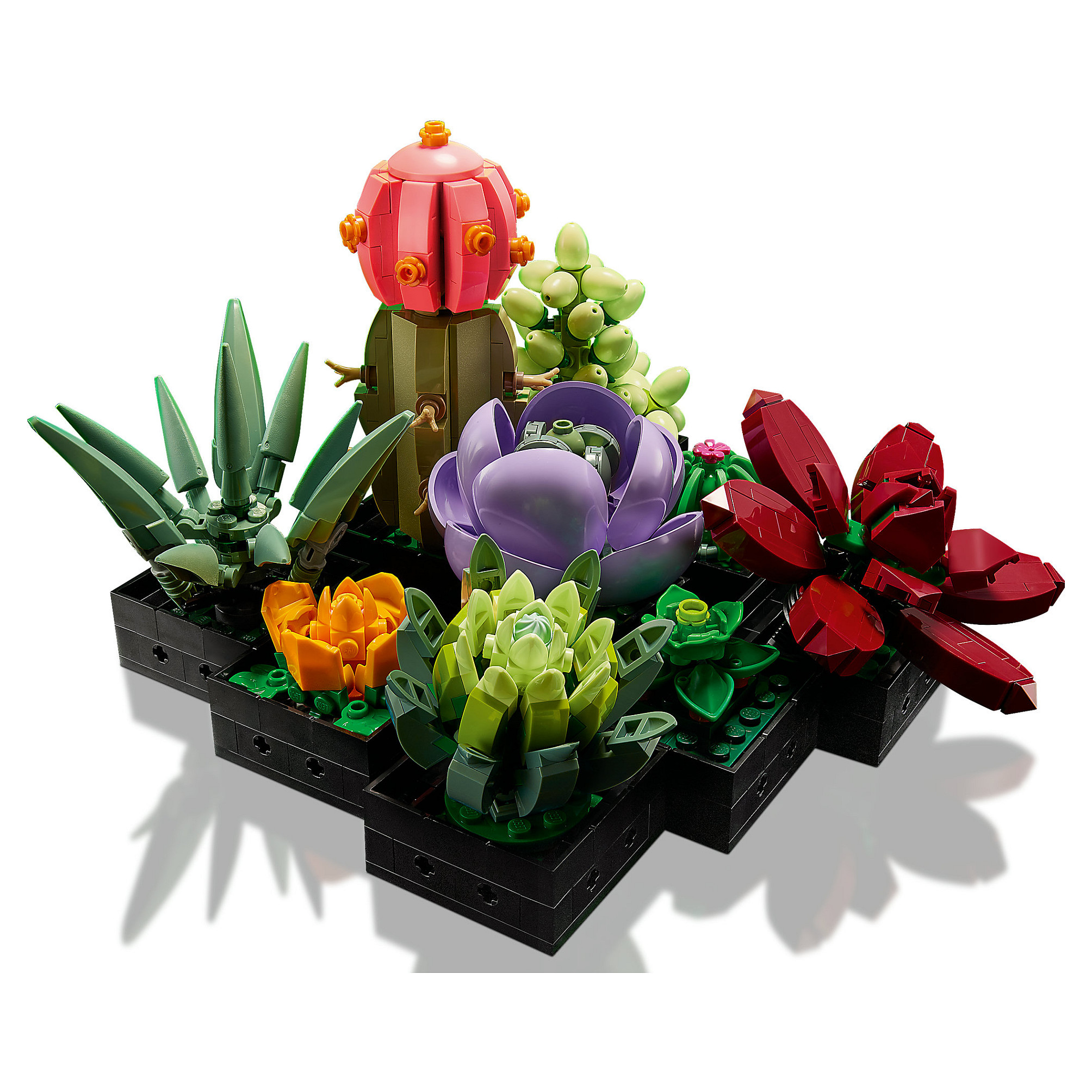LEGO Botanicals Succulents thumbnail 2