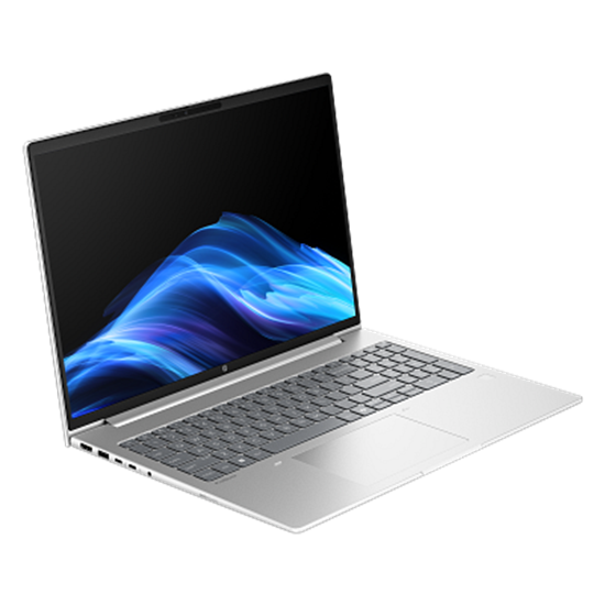 Laptop HP ProBook 4 G1ah / Ryzen 5 220 / 16GB DDR5 / 512GB / 16" WUXGA IPS 300nits 60Hz / AMD Radeon 740M - Argjend 2