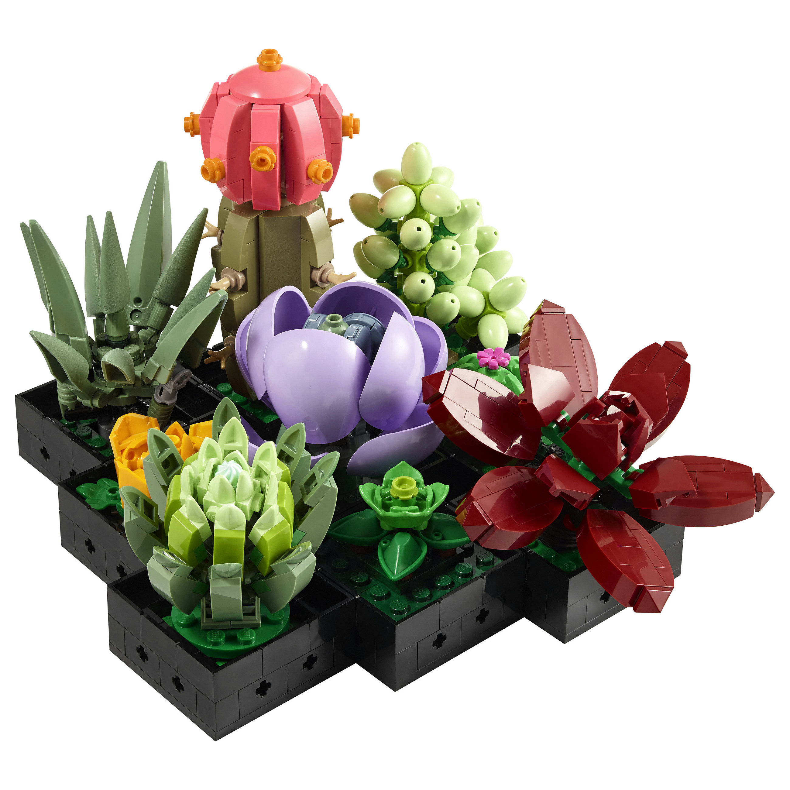 LEGO Botanicals Succulents thumbnail 4