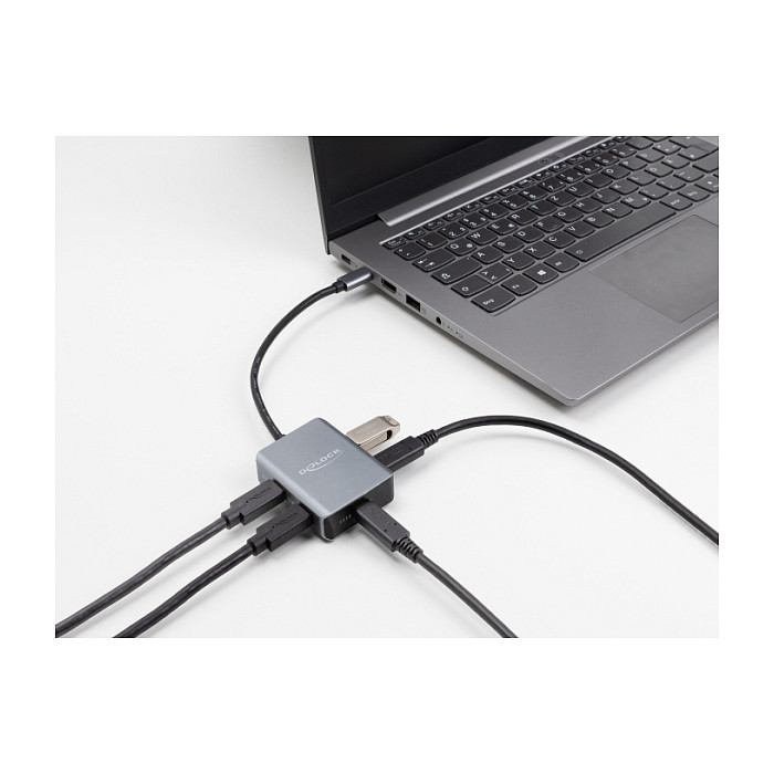 Hub USB DeLOCK 64249 / USB-C / 4 Porta / USB 10 Gbps / 15 cm / Metal - Zezë/Gri 2