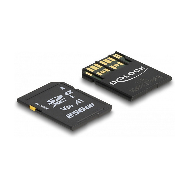 Kartë Memorie SD DELOCK Express 256GB – Zezë thumbnail 2