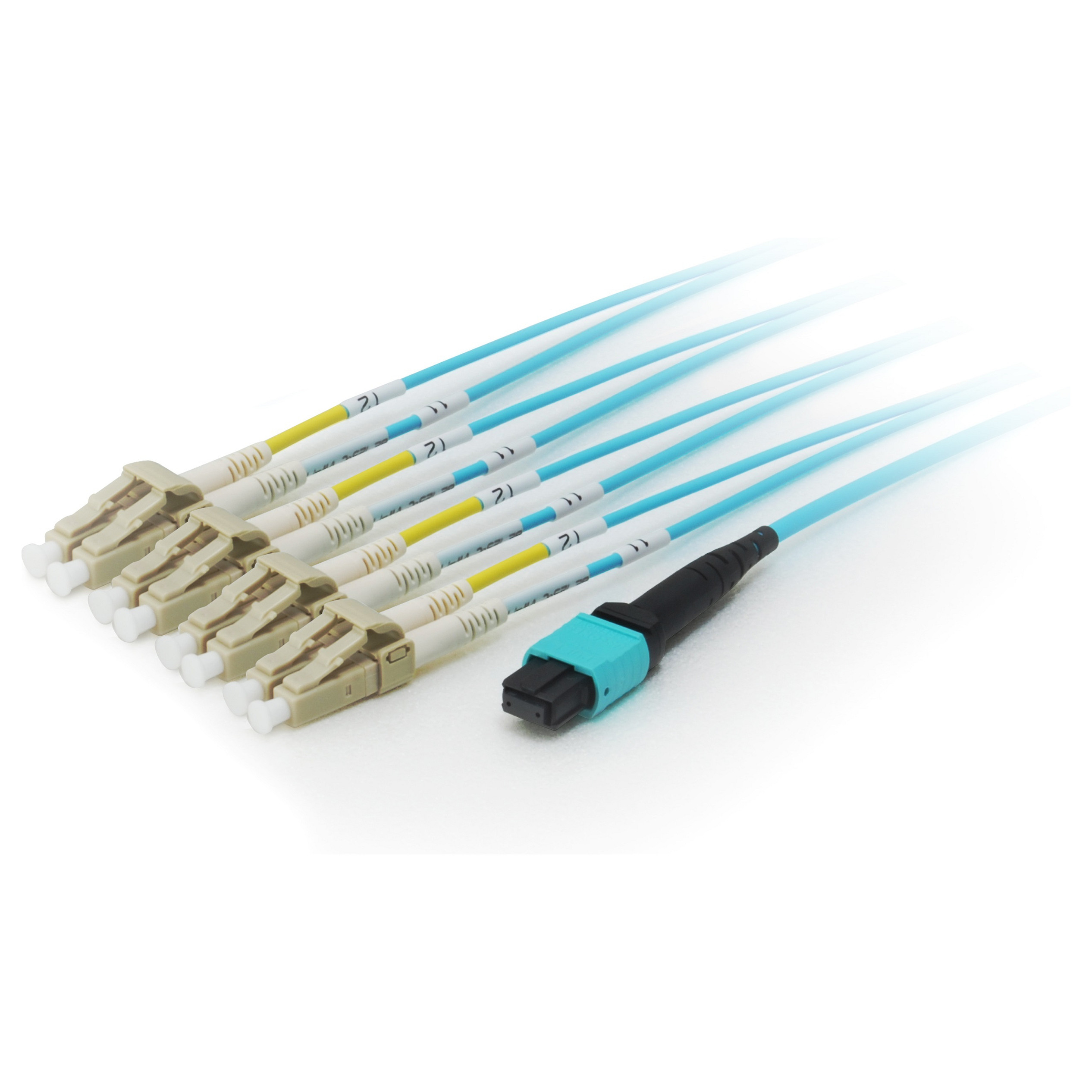 Kabllo për Rrjet Equip MTP–LC Trunk Patch Cable / 3.00m / Multimode OM4 / M/M – Polybag