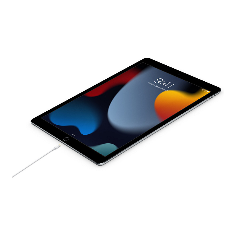 Apple USB-C to Lightning Cable 1M (MUQ93ZM/A) thumbnail 2