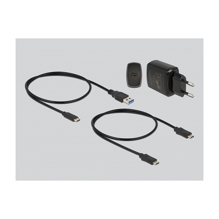 Docking Station DeLOCK SSD / USB-C / 2 x M.2 Card Slots thumbnail 5