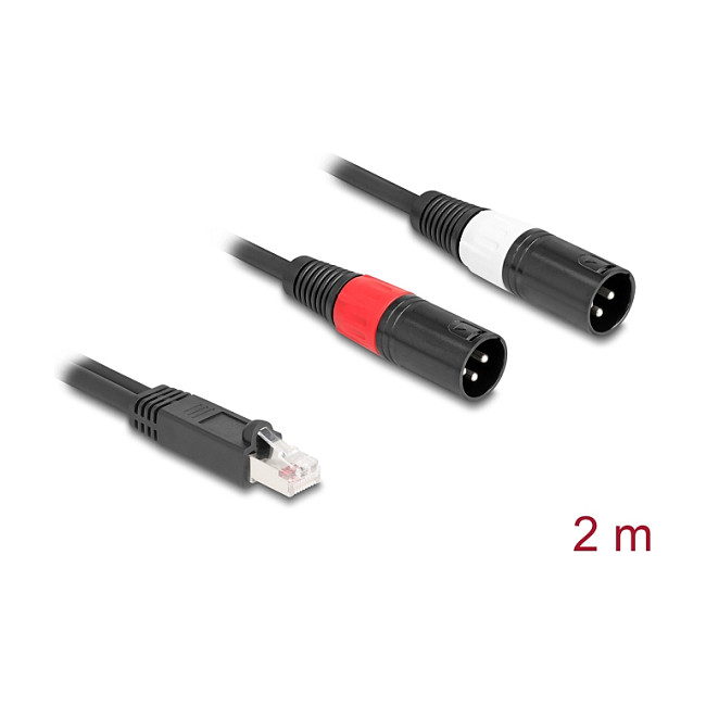 Kabllo Audio DeLOCK 88173, RJ45 mashkull në 2 x XLR 3-pin mashkull, Cat.5, 2 m - Zezë 2