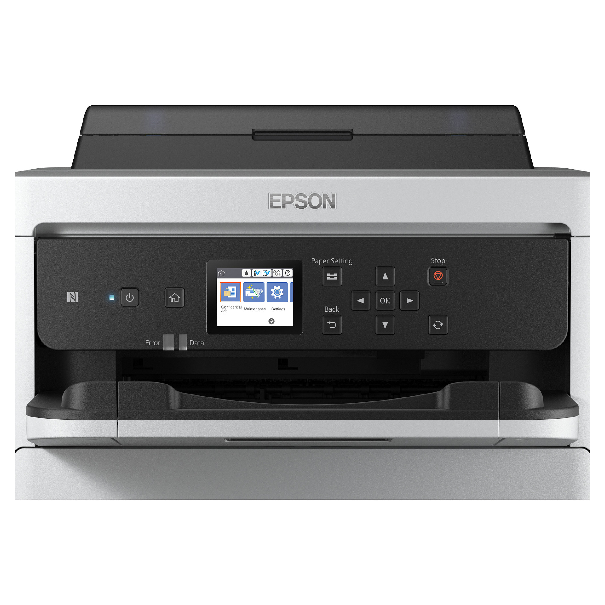 INK Epson 2LB / XXL – Verdhë thumbnail 4