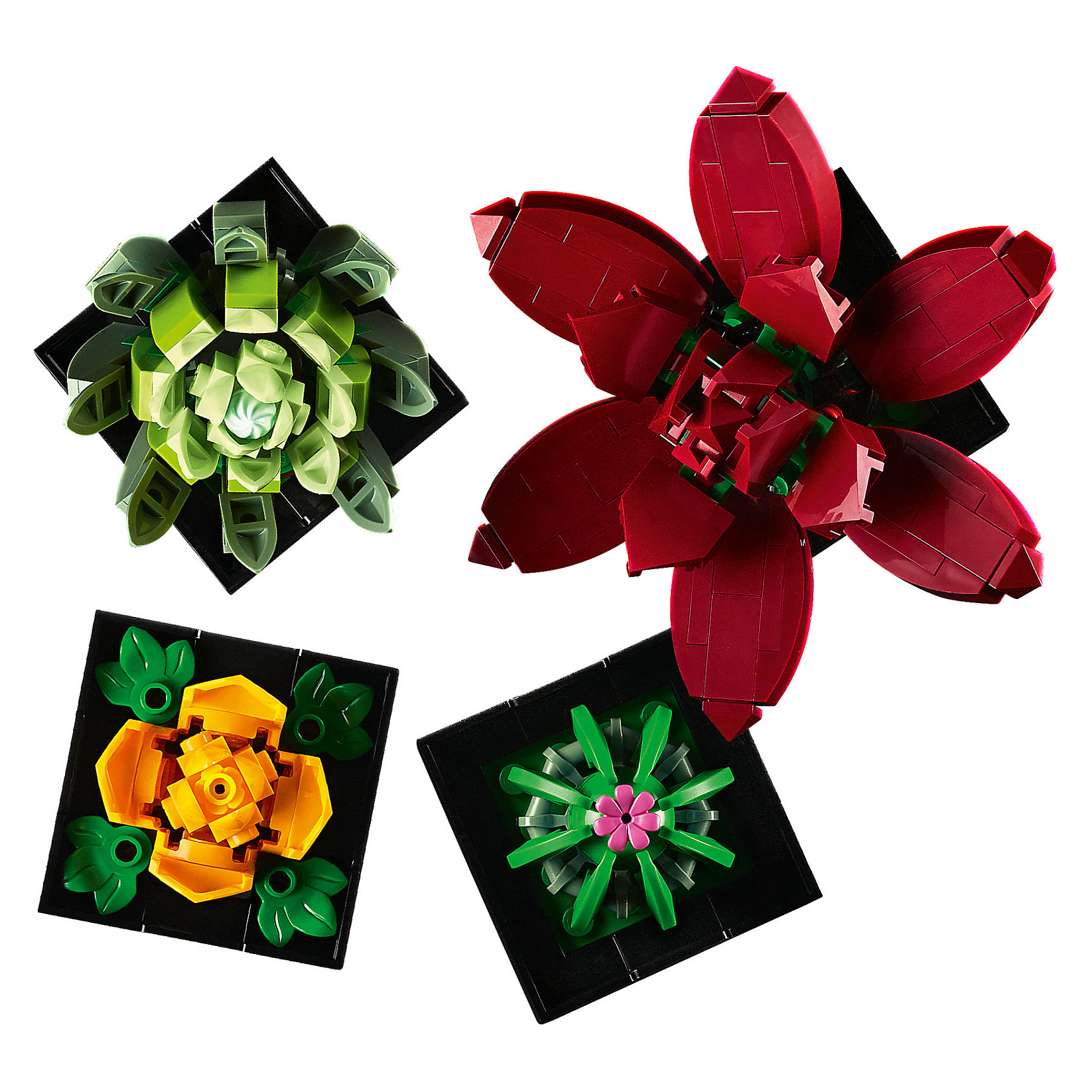 LEGO Botanicals Succulents thumbnail 3