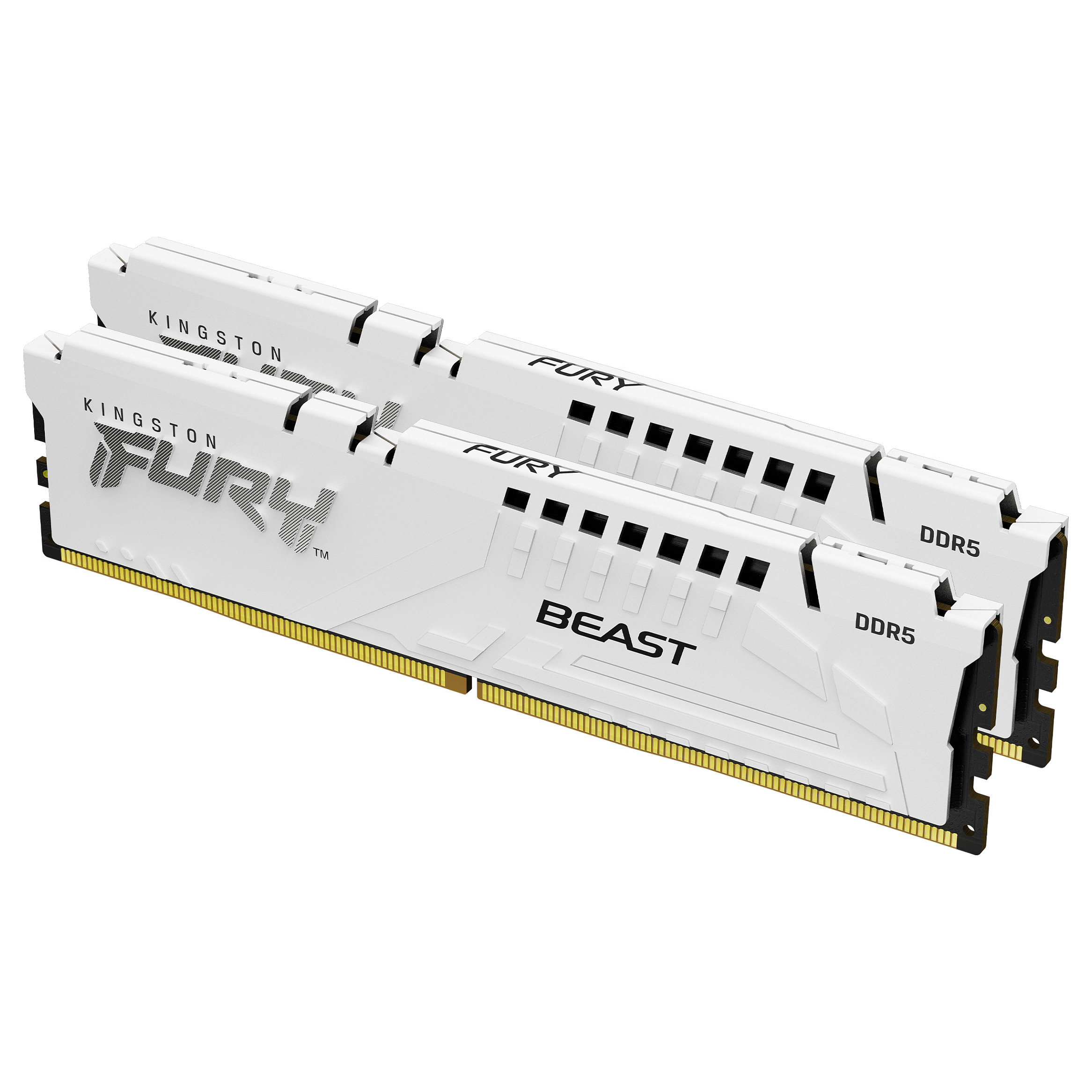 RAM Memorie DDR5 / KINGSTON / FURY Beast / 32GB / 5600MT/s / CL36 / DIMM / EXPO - Bardhë