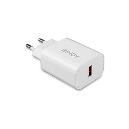 Adapter USB LINDY 71265, USB 3.2 Gen 1, USB-C Mashkull në USB-C Femër, Data Blocker, 100W - Zezë 9
