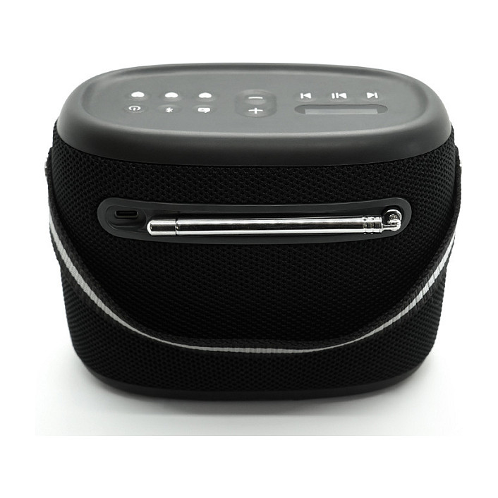 Radio Portative Pure Woodland, DAB+, FM, 10 W, Ekran 0.91", USB-A, USB-C 4