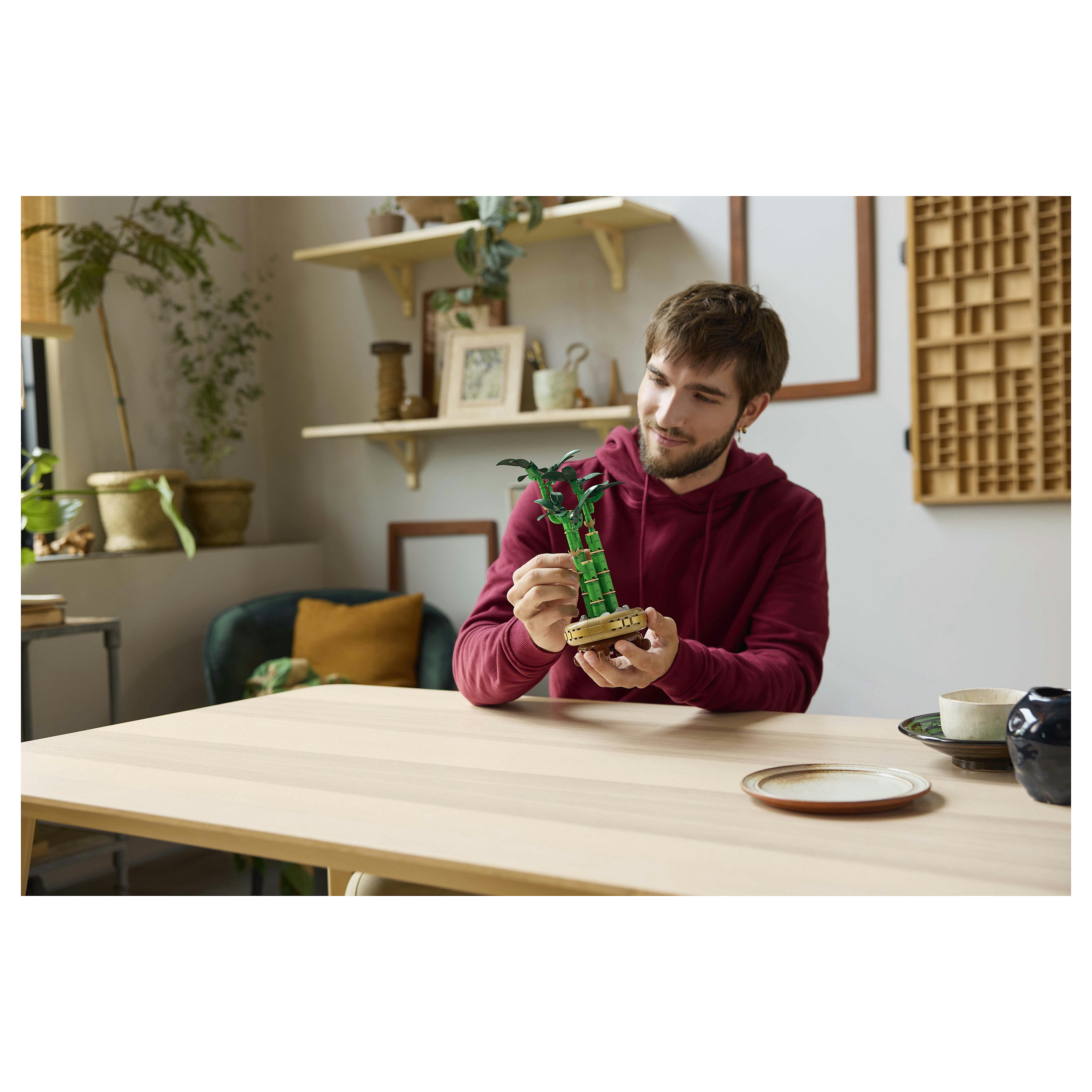 LEGO Botanicals Lucky Bamboo 10344 thumbnail 3