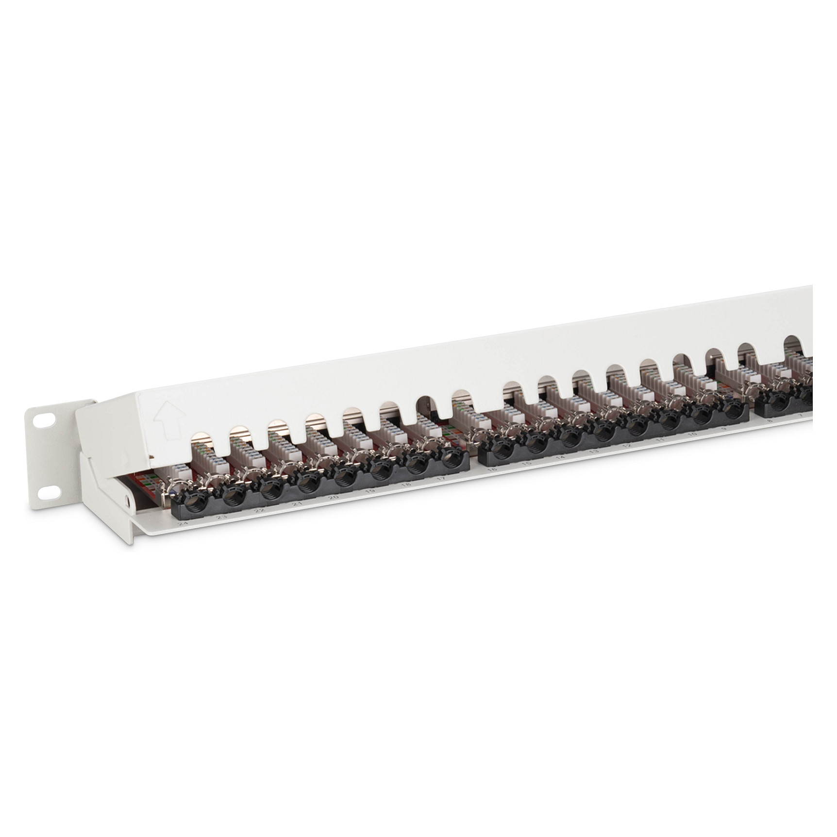 Aksesorë për rrjet DIGITUS / Patch Panel / 1U / 24-Port / Cat6a Shielded - Gri e hapur thumbnail 3