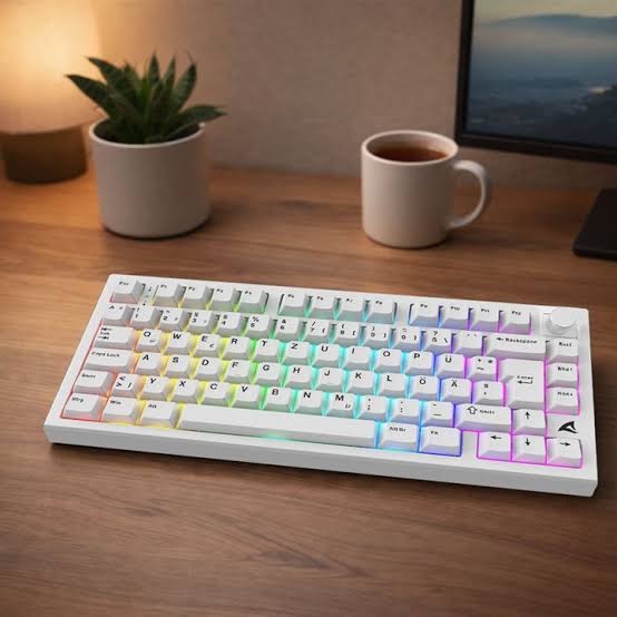 Tastierë Gaming Sharkoon SKILLER SGK55W / Wired & Wireless / QWERTZ / Mekanike / ARGB / 75% / Hot-Swap - Bardhë 4