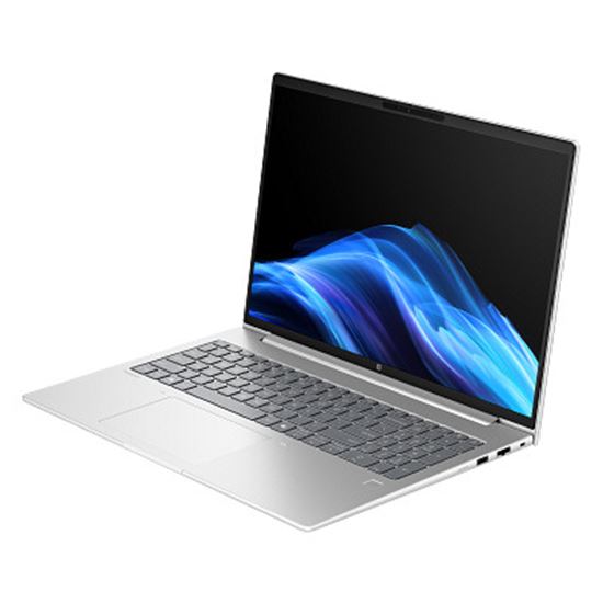 Laptop HP ProBook 4 G1ah / Ryzen 5 220 / 16GB DDR5 / 512GB / 16" WUXGA IPS 300nits 60Hz / AMD Radeon 740M - Argjend 3