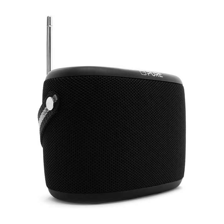 Radio Portative Pure Woodland, DAB+, FM, 10 W, Ekran 0.91", USB-A, USB-C 2
