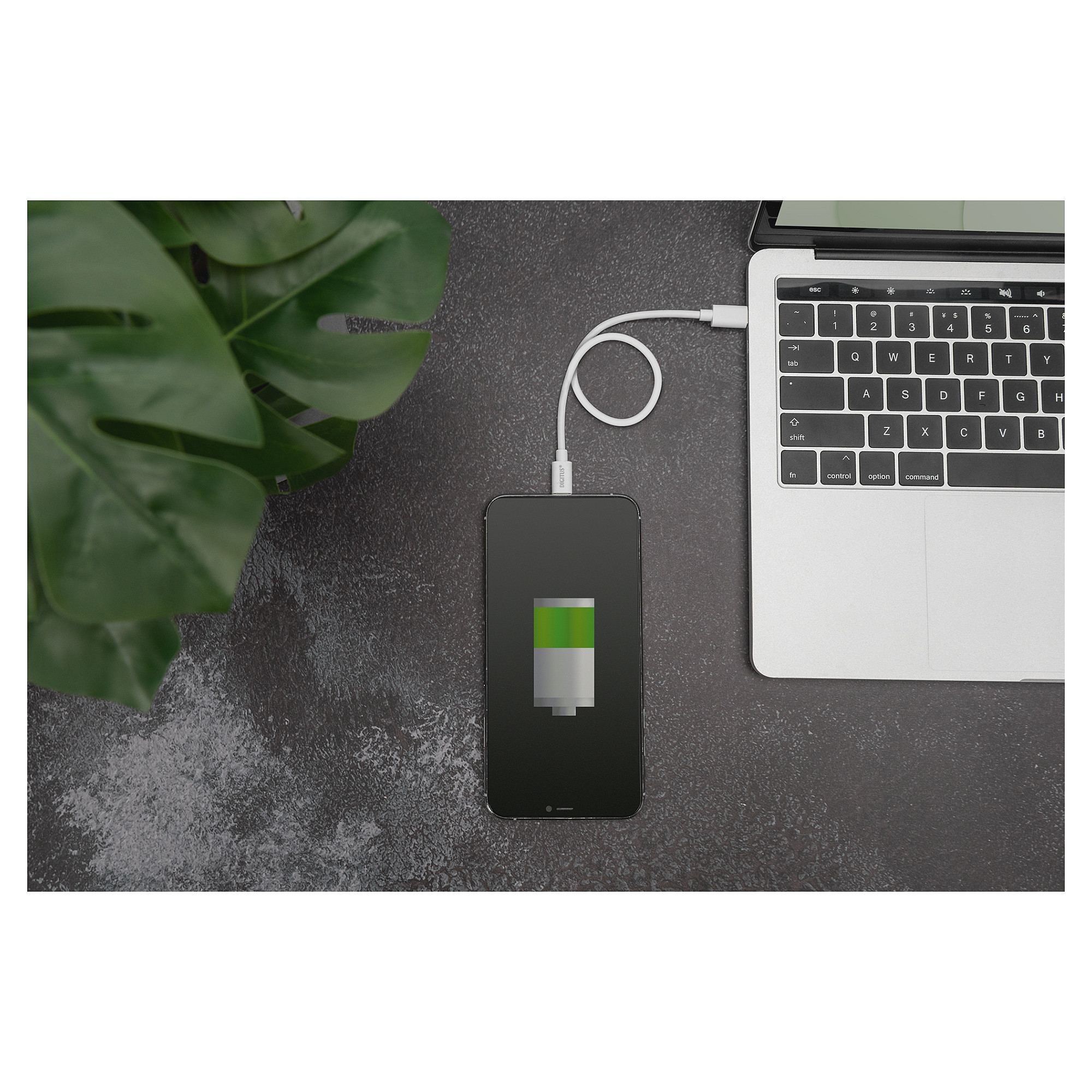 Kabllo USB DIGITUS USB‑C në Lightning (M/M)/ MFI/ 2m - Bardhë thumbnail 2
