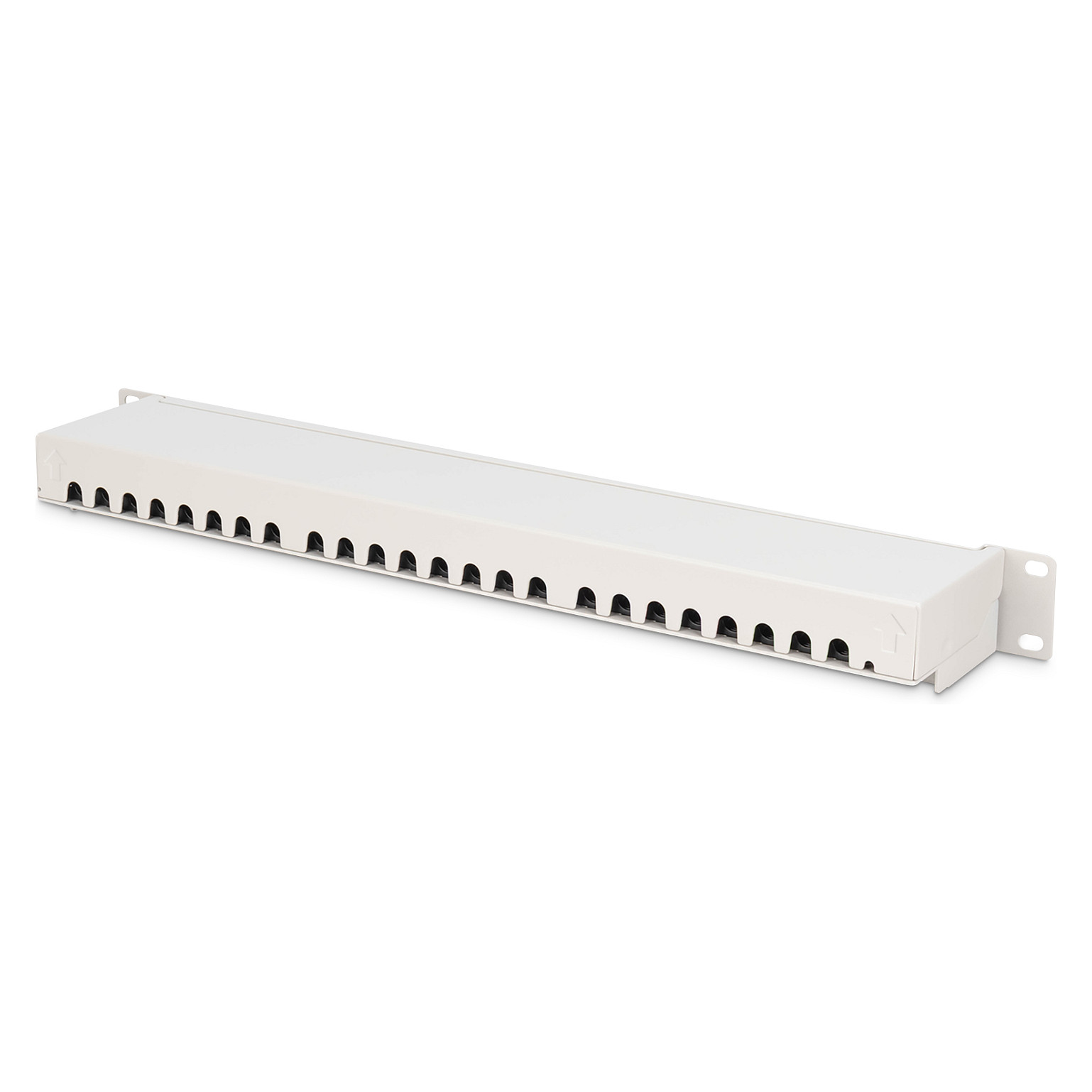 Aksesorë për rrjet DIGITUS / Patch Panel / 1U / 24-Port / Cat6a Shielded - Gri e hapur thumbnail 6