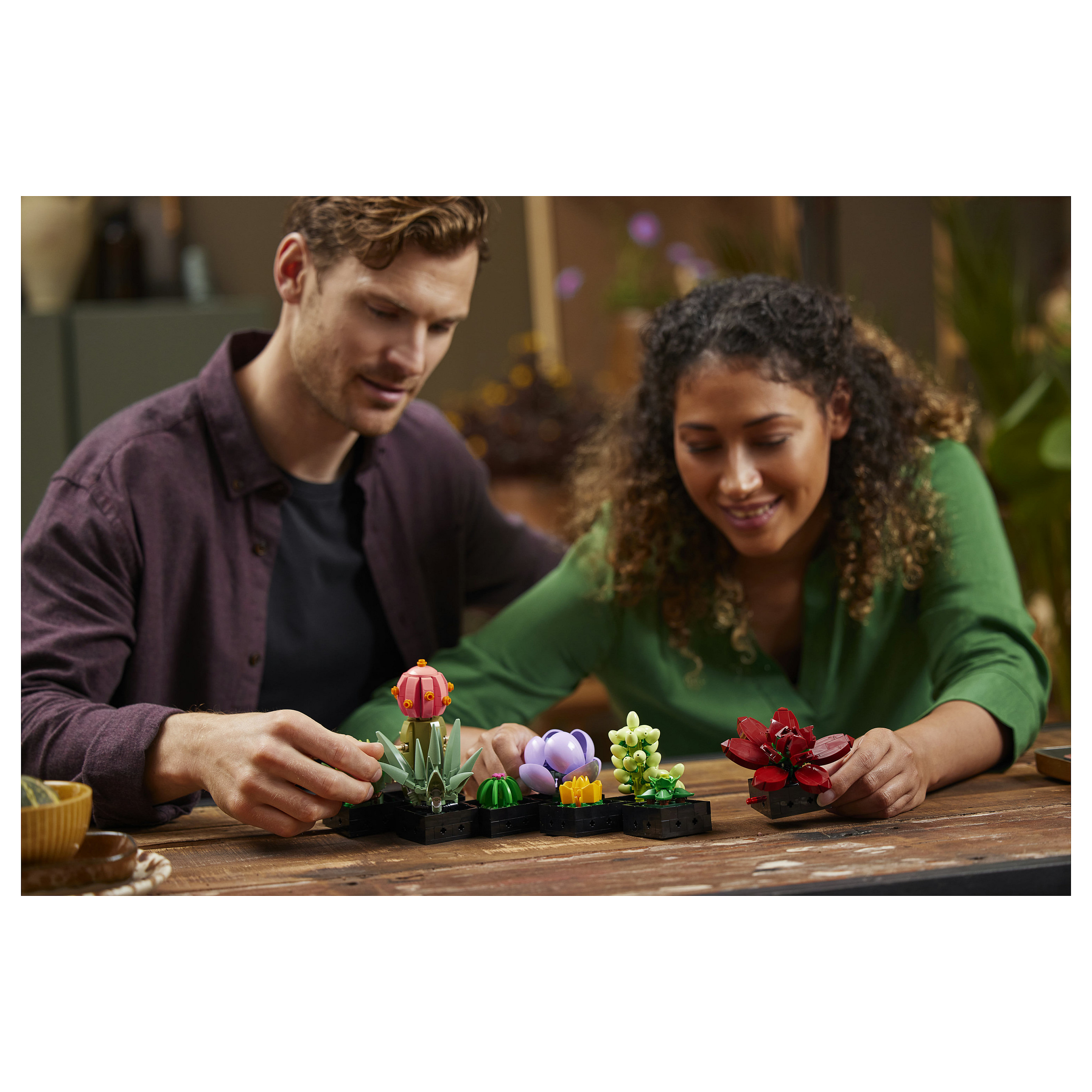 LEGO Botanicals Succulents thumbnail 6