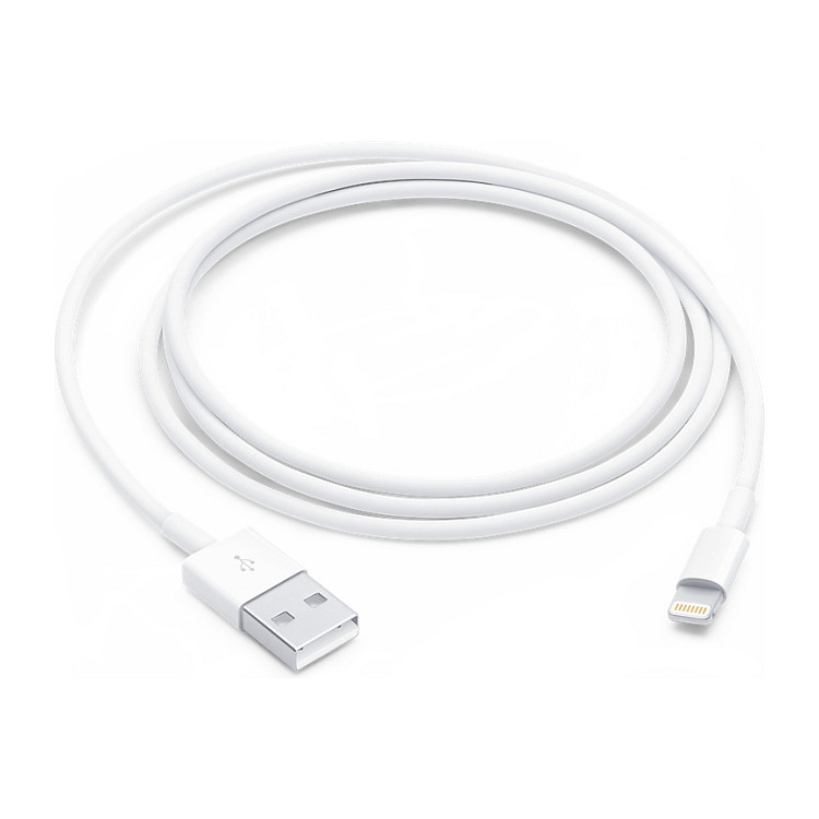 Apple Lightning to USB Cable (1m)
