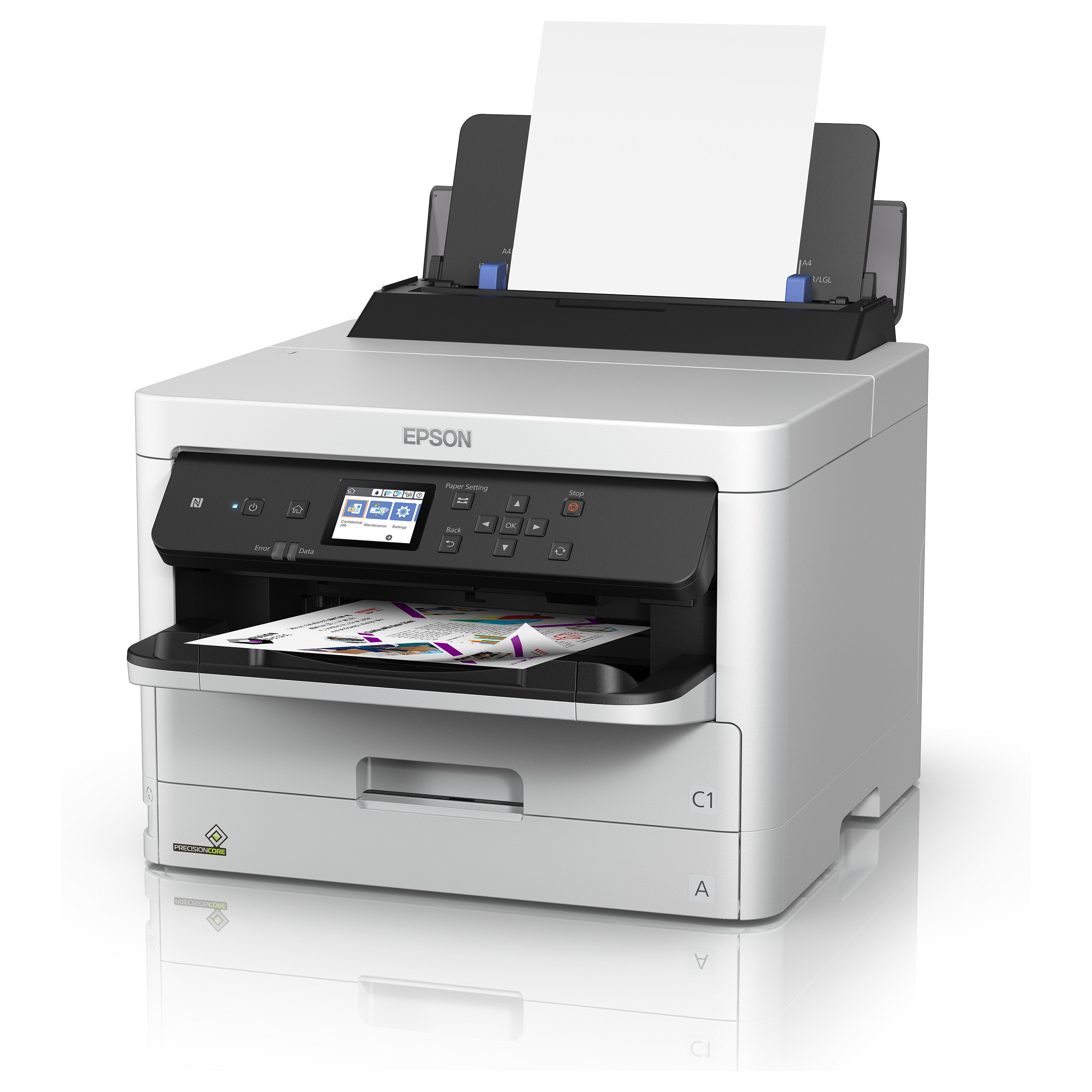 INK Epson 2LB / XXL – Verdhë thumbnail 2
